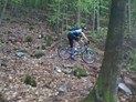 trainen in Naturpark Saar-Hunsrück.  Duitsland