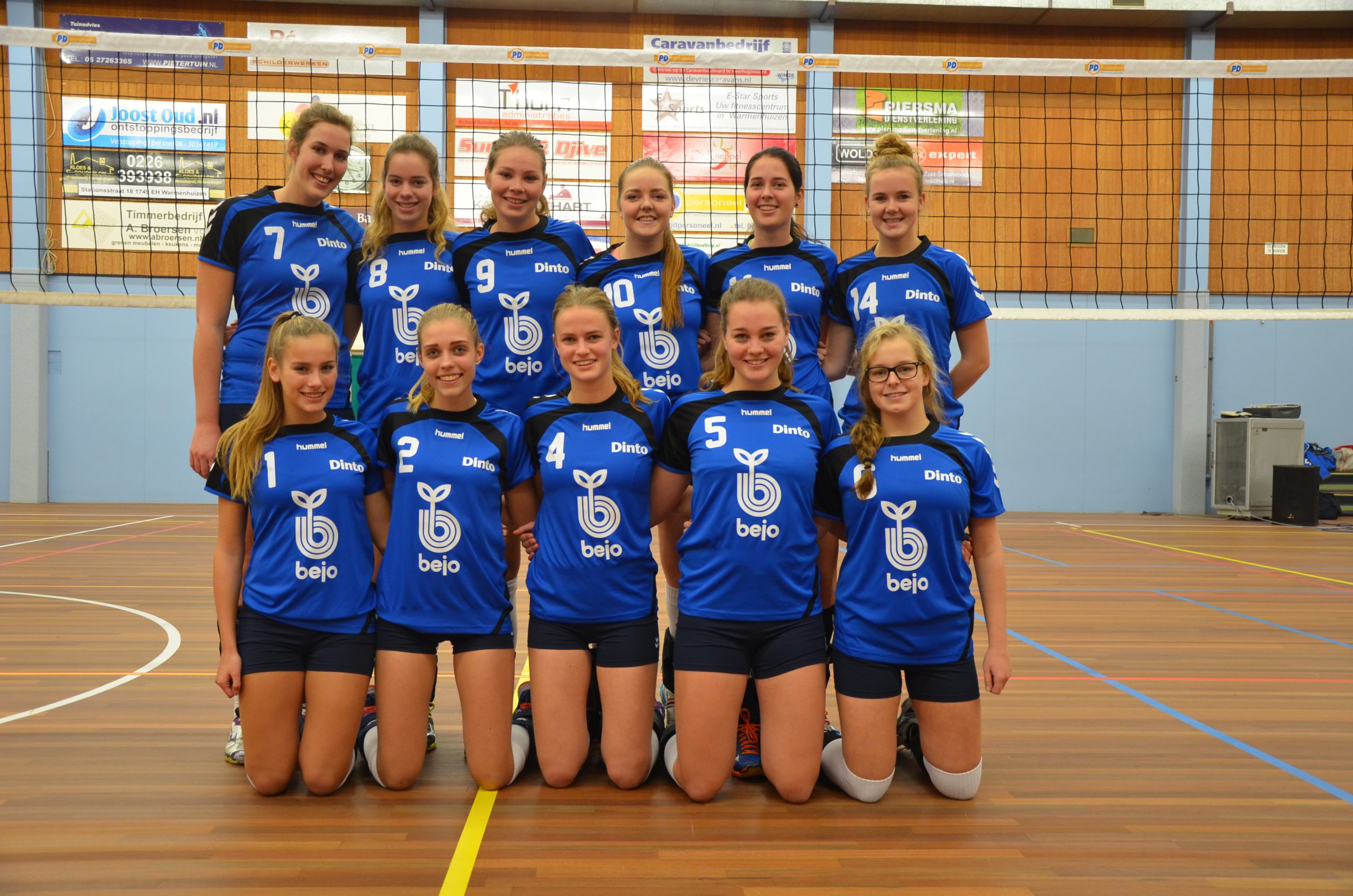 Bejo/Dinto Ds1  –  Compaen Ds2