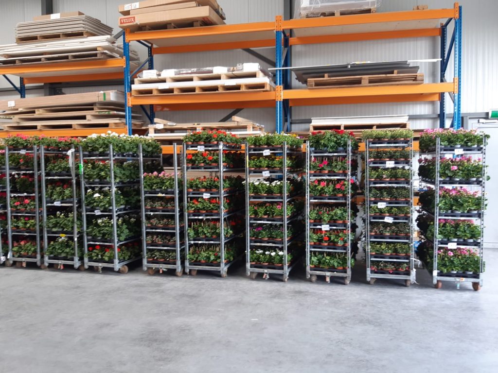 Een andere tijd een andere Plantenactie