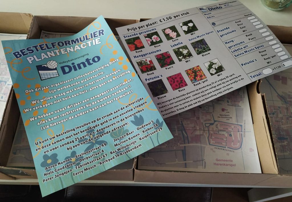 Dinto Plantenactie 2024